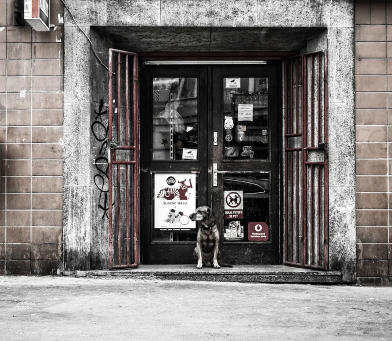 Asperiores Voluptatem Nemo Reprehenderit article 9